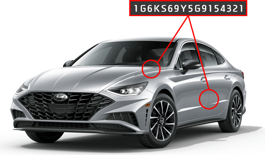 MS we buy cars